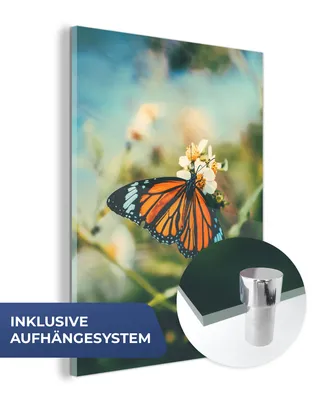 Obrázok produktu pre MuchoWow® Sklenené obrazy - Obrazy na stenu - Foto na skle Motýľ - Kvety - Záhrada 60x80cm Nástenná dekorácia zo skla - akrylový sklenený obraz - akrylové