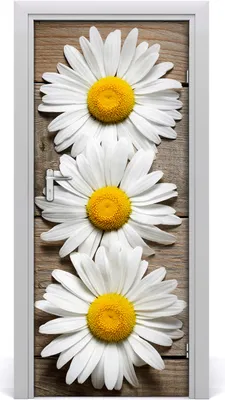 Produktbild von Tulup Türaufkleber 85x205 cm Dekorative Aufkleber Selbstklebend Wasserdichte Tapete Abnehmbar Schlafzimmer Wohnzimmer Wohnkultur - Kamille Holz