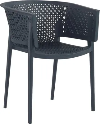 Image de Fauteuil de terrasse en POLYPROPYLENE Gris anthracite pour Exterieur