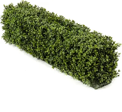 Produktbild von Emerald Künstliche Buchsbaumhecke - Jannis | 100x25cm, UV-beständig, für draußen, Kunstbaum, wie echt, Allergiker geeignet, pflanzliche Dekoration Praxis, Office & Wohnzimmer