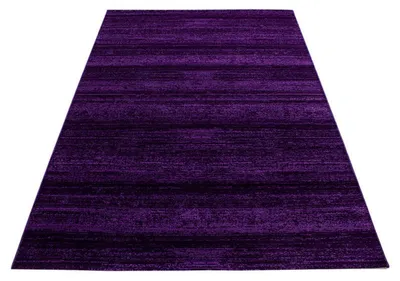 Image de Ayyildiz | Tapis Moderne Plus - 240 cm x 340 cm - Violet - Doux et Antistatique - Idéal pour Toute Pièce