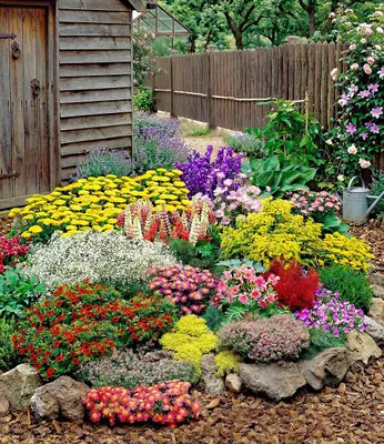 Produktbild von BALDUR Garten 12er Set Großer Staudengarten, Pflanzen im 7x7 cm-Topf, begeistert jedes Jahr mit seiner Blütenfülle, buntes Staudenbeet, winterhart, bienenfreundlich, für Beete & Naturgärten