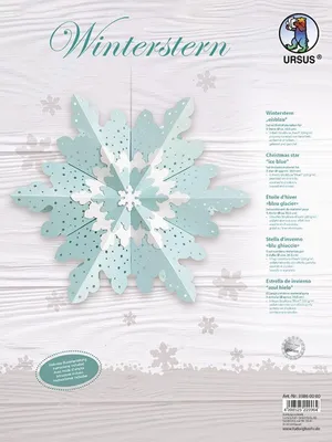 Obrázok produktu pre Zimná hviezda 'Ice Blue