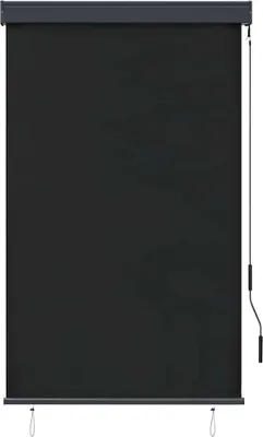 Produktbild von vidaXL Außenrollo 100 x 250 cm Anthrazit
