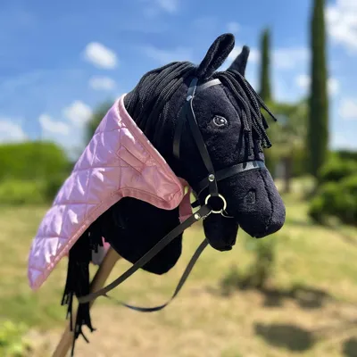 Image de Couverture en satin rose pour hobby horse