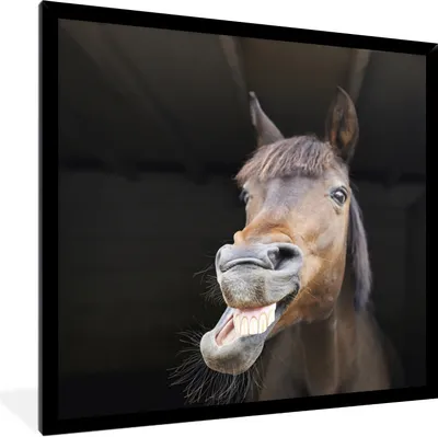 Produktbild von MuchoWow® Gerahmtes Poster Pferd - Lustig - Stall - Kinder - Jungen - Mädchen - Kinder 40x40 cm - Poster mit Schwarzem Bilderrahmen Wandposter Rahmen Foto Bilder - Mit Rahmen - Wanddekoration Schlafzimmer