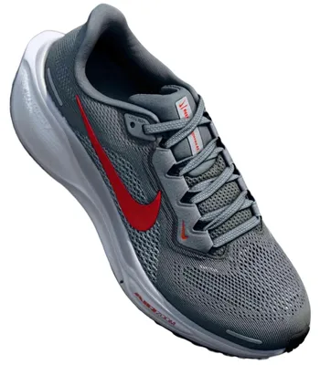 Produktbild von Laufschuhe Nike FD2722-013 für Herren