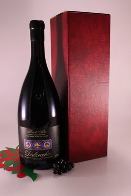 Produktbild von Blauburgunder Magnum - 2021 - Weingut Dalzocchio