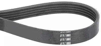 V-Rippen-Antriebsriemen 1880 PJ5 für Miele Trockner