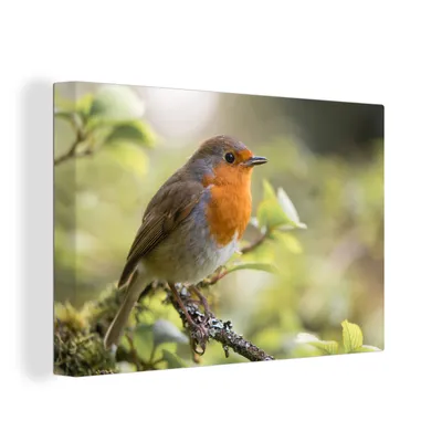 Obrázok produktu pre OneMillionCanvasses® - Maľba na plátne - Obraz na plátne Nástenná maľba na plátne - Robin - listy - vetvy - 150x100cm - Fotografia na plátne - maľba