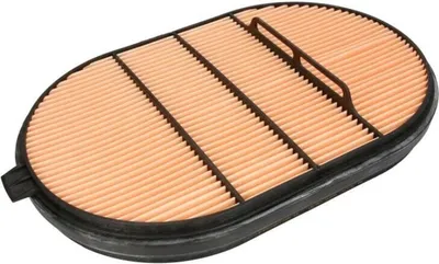 Produktbild von Luftfilter DONALDSON P607557 für BMC PROFESSIONAL