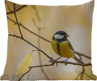 Produktbild von MuchoWow® Outdoor Kissen - Kohlmeise - Zweig - Vogel - Tiere - 45x45 cm - Wetterfest - Lounge Kissen - Fotokissen - Dekoratives Kissen
