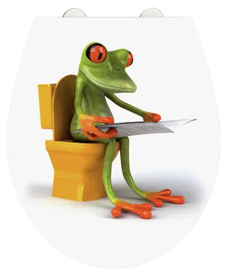 Imagen del producto de WENKO: Asiento para inodoro, tapa de inodoro, modelo "FROG NEWS", con sistema de descenso automático, para baño, fabricado en acrílico