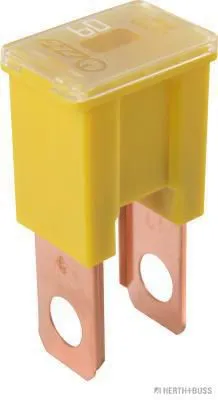 Obrázek produktu pro HERTH+BUSS ELPARTS pojistka
