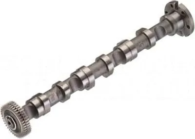 Produktbild von KOLBENSCHMIDT 50007004 Nockenwelle Einlass für Zylinder 1-3 für AUDI A6 Avant (4F5, C6) A4 Avant (8ED, B7) A6 Limousine (4F2, C6) für VW Touareg