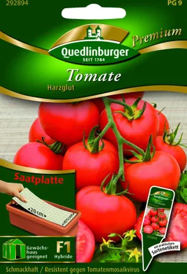 Produktbild von Saatplatte Tomate, Harzglut  Anzucht F1
