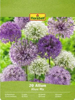 Obrázek produktu pro Okrasný česnek FloraSelf 'Allium Deco mix' 20 ks