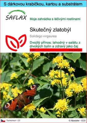 Obrázek produktu pro SAFLAX Dárková sada - Skutečný zlatobýl - Solidago virgaurea - 100 Semena - S dárkovou krabičkou, přepravním štítkem, dárkovou kartou a pěstebním médiem