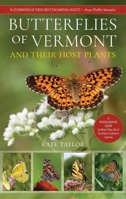 Productafbeelding van Butterflies of Vermont