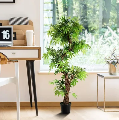 potare un bonsai ficus Ficus Too Little Bonsai 15 – Stone Lantern main image 0