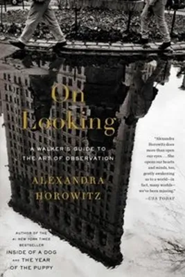 Produktbild von On Looking