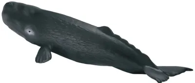 Obrázek produktu pro schleich 16095, 3 rok/roky, Plast