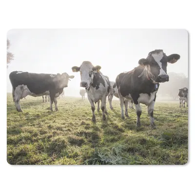 Produktbild von MuchoWow® Mauspad Mousepad Kühe - Licht - Gras - Tiere 23x19 cm - Mousepads - Maus Mat - Pad - Mausunterlage - Schreibtischunterlage - Mauspad