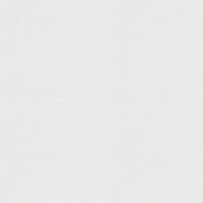 Produktbild von A.S. Création Vliestapete Meistervlies Pro Protect 2, weiss, überstreichbar, 25,00 m x 1,06 m, 252616, 2526-16