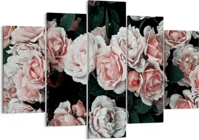 Produktbild von Bild auf Leinwand - Leinwandbild - 5 Teile - Rosen Blumen Blätter - 150x100cm - Wand Bild - Wanddeko - Wandbilder - Leinwanddruck - Bilder - Wanddekoration - Leinwand bilder - EA150x100-4760