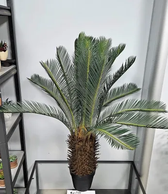 Produktbild von artplants.de Kunst Cycas Palme WERFLI im Dekotopf, 110cm - Künstliche Cycaspalme