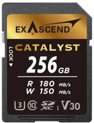 Image de Carte SD Exascend Catalyst de 256 Go