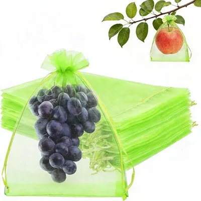 Obrázek produktu pro 50 kusů ochranných sáčků na hrozny 20 x 30 cm, ochranné sáčky na hrozny, organzové sáčky, síťové sáčky na hrozny, ochranné sáčky na ovoce, ochranné síťové sáčky na hrozny a ovoce (zelené)