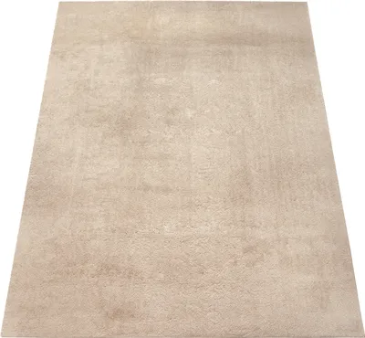 Image de Tapis lavable Salon Tapis à poils courts Style moderne Unicolore Beige Dimension 120x160 cm