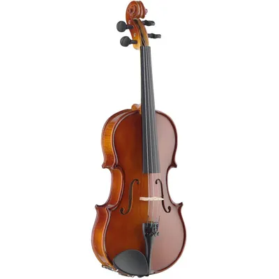 Obrázok produktu pre Stagg VN-4/4 EF, husle s puzdrom