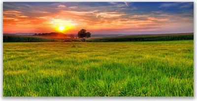 Produktbild von Tulup Leinwand-Bilder 120x60 Wandbild Canvas Kunstdruck Wiese Sonne Natur