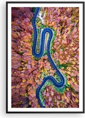 Produktbild von Gerahmtes Poster - Schwarzer Rahmen - Kurvenreich Weg Wald - 70x100 cm - Wand Bild - Wanddeko - Wandbilder - Kunstposter - Wandposter - Bilderrahmen - Bilder - Kunstdruck - Wandbild - P2BPA70x100-4291