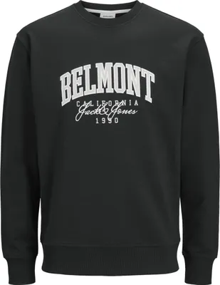 Imagen del producto de Sudadera Jack & Jones Detroit, color negro, talla M para hombre