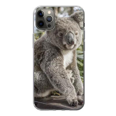 Produktbild von MuchoWow® Handyhülle Schutzhülle Hülle für iPhone 12 Pro Max Koala - Regal - Pflanzen - Kinder - Jungen - Mädchen Silikon Softcase Handy Hülle - Hartschale