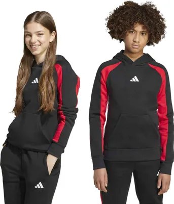 Immagine prodotto di Felpa con cappuccio Adidas JW2491 da Bambino