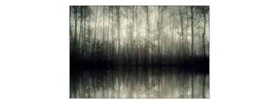 Produktbild von Muralo Fototapete Wald 360 (B) x 240 (H) cm Vlies Tapete Wandtapeten See Bäume Pflanzen Wohnzimmer Schlafzimmer moderne Wandbilder XXL Landschaft Panorama Wand Dekoration
