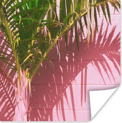 Produktbild von MuchoWow® Poster Pflanze - Sommer - Tropisch - Rosa 100x100 cm - Babyzimmer
