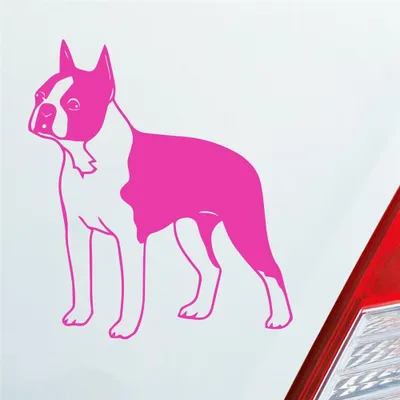 Produktbild von Auto Aufkleber Boston Terrier Hund Dog Animal 12x10 cm Pink Sticker Heckscheibenaufkleber