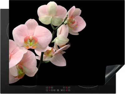 Produktbild von KitchenYeah© Herdabdeckplatte Orchidee - Blumen - Rosa - Stilleben - Flora , 70x52cm, Küche Deko, Glaskeramikkochfeld Herdabdeckung, Abdeckplatte fùr Kochfeld