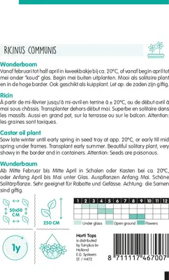 Produktbild von Wunderbaum | Wunderbaumsamen von Hortitops