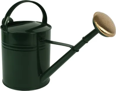 Produktbild von Talen Tools Gieskanne - grun - goldener Besenkopf - Metall - 10 l