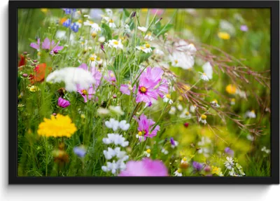 Produktbild von MuchoWow® MuchoWow® Gerahmtes Poster Blumen - Natur - Grün - Gras - Lila - Weiß 60x40 cm - Poster mit zchwarzem Bilderrahmen - Printing - Wanddeko Schlafzimmer