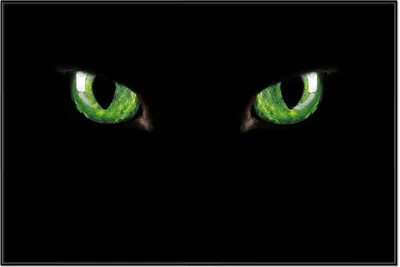 Produktbild von Wallario Wandbild Grüne Katzenaugen bei Nacht, Größe: 61 x 91,50 cm, Poster mit schwarzem Aluminiumrahmen