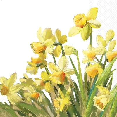Produktbild von Servietten 33x33 cm - Golden daffodils