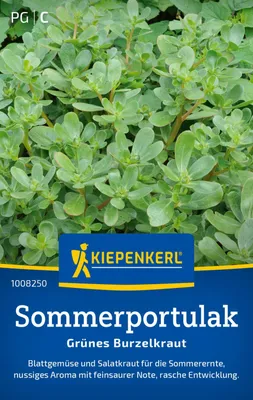 Produktbild von Kiepenkerl Portulaksamen Grünes Burzelkraut Portulaca oleracea 50 - 60 lfd. Meter