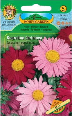 Zdjęcie produktu dla Szkarłatna stokrotka, mieszanka